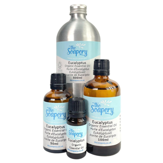 Eucalyptus Essential Oil Organic