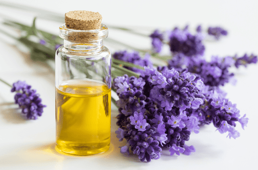 What is Lavender Oil?