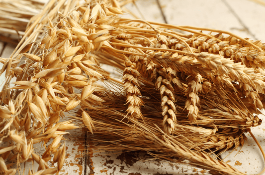 A Guide To Using Hydrolysed Proteins