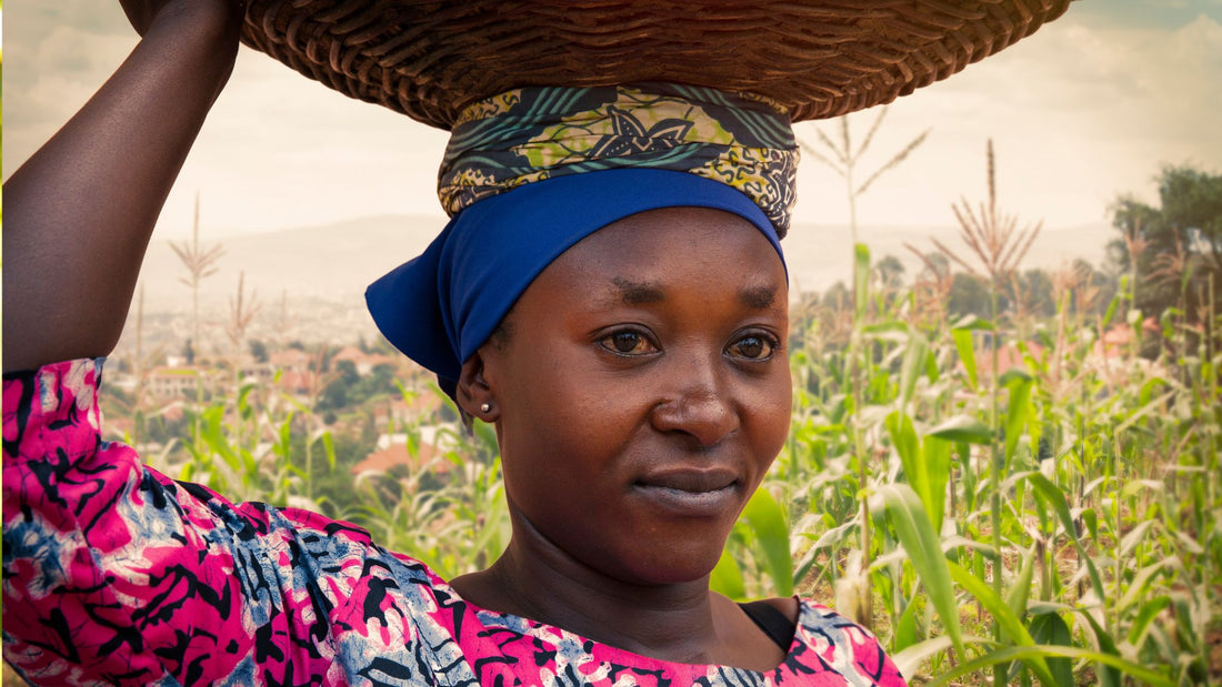 Unearth the Secrets of Shea Butter