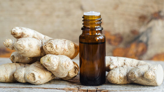 Ginger oil for weight loss