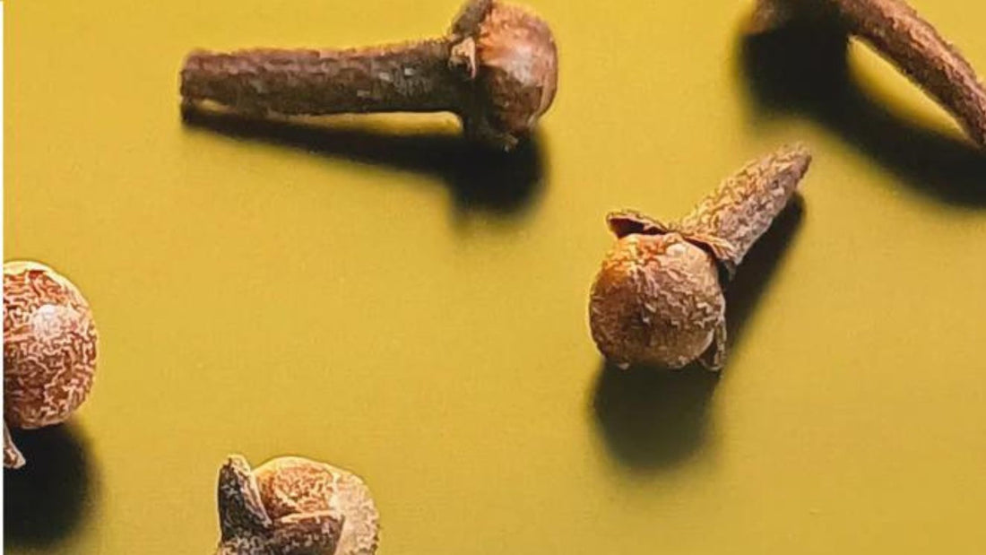 Clove oil for toothache