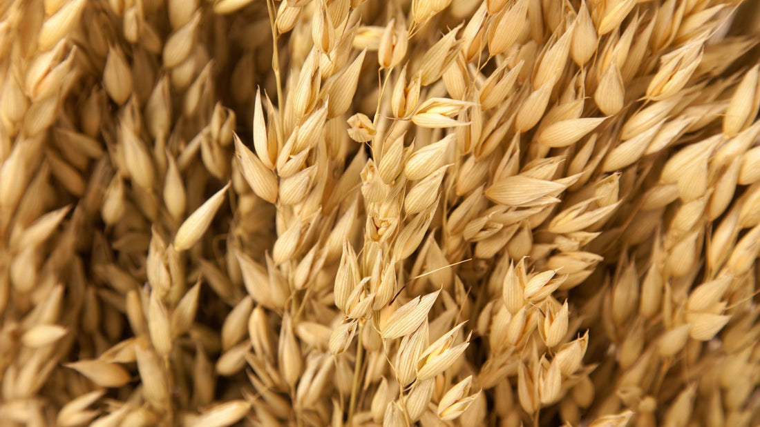 Oatmeal hot process soap recipe